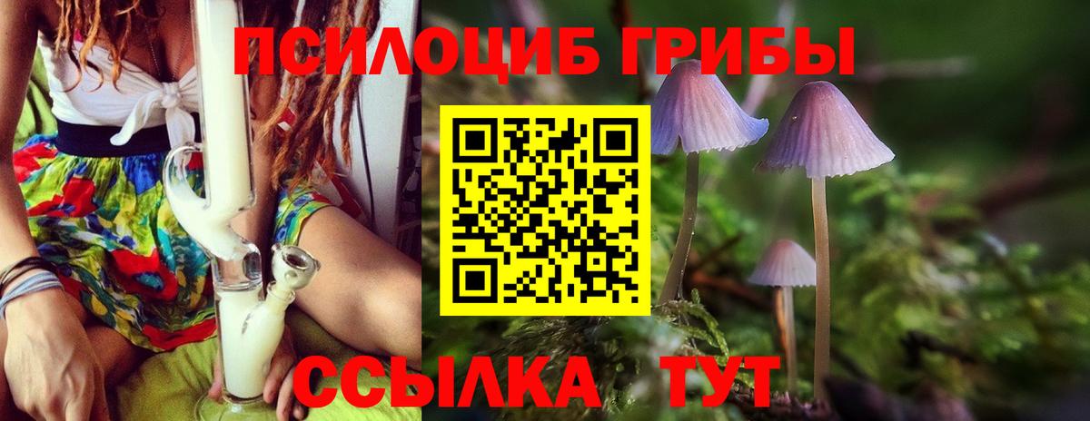 Псилоцибиновые грибы Psilocybe  Вход с VPN  Лобня  Галлюциногенные грибы Psilocybine cubensis 