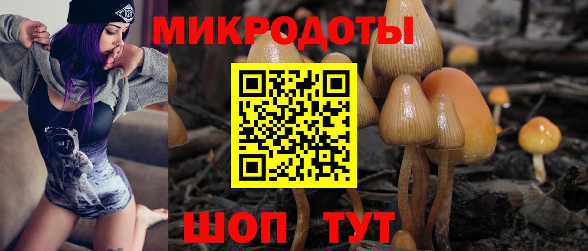 Псилоцибиновые грибы Magic Shrooms  дарнет шоп  Лобня 